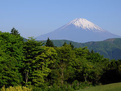 新緑の箱根を旅する