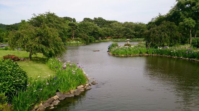 約三万坪におよぶ<br />池泉・回遊式<br />花の庭園<br />『緑水苑』<br />https://ja.wikipedia.org/wiki/%E5%9B%9B%E5%AD%A3%E3%81%AE%E9%87%8C%E7%B7%91%E6%B0%B4%E8%8B%91<br />近くにありながら、初めて訪問しました。