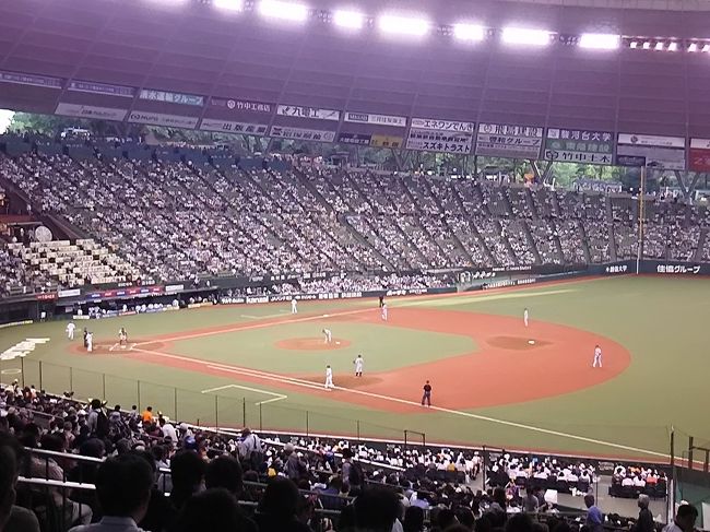 今シーズン2度目の観戦。<br />