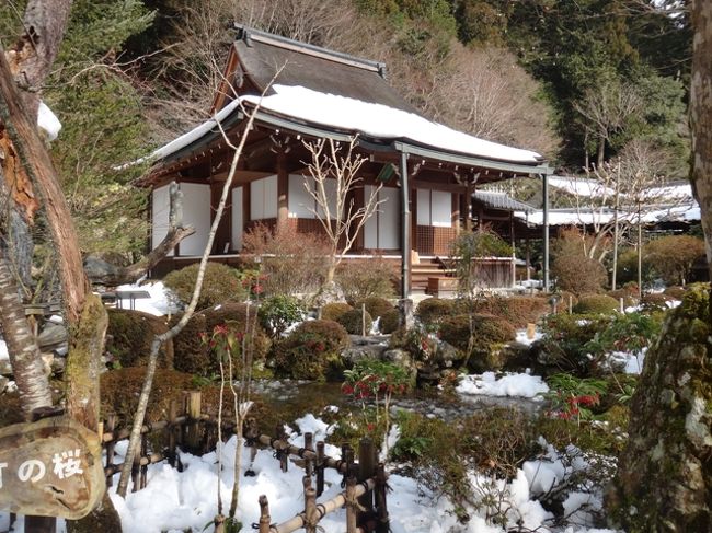 京都は閑散期の夏や冬に非公開寺院を特別に公開するため、<br />それらを中心に回った記録です。<br /><br />少し前に降った雪は街ではもう見かけませんでしたが、<br />大原ではまだまだ残っていました