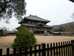 2011年　京都・奈良　おまけで大阪城　２日目