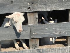 春の北陸　ワイーナリーと酒蔵