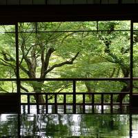 2017初夏の京都～涼を求めて八瀬、瑠璃光院の青紅葉