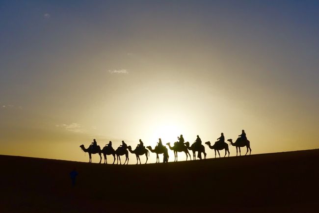 サハラ砂漠の朝日鑑賞　ラクダに乗る