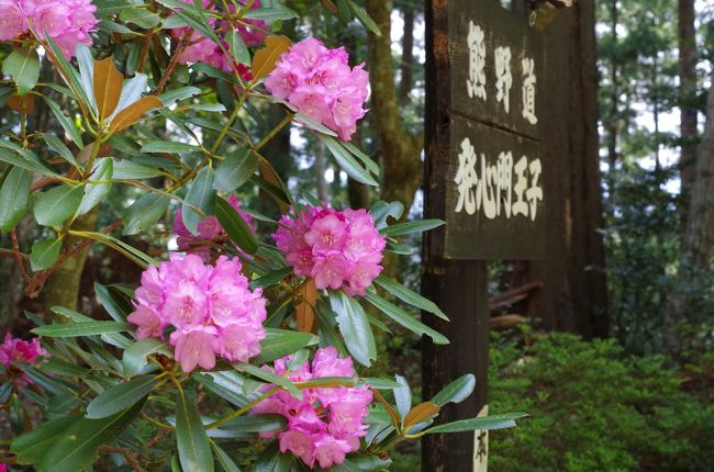 その2「駅から熊野詣」http://4travel.jp/travelogue/11253575 からのつづき<br />旅の3日目は熊野古道を約10km歩く。発心王子から熊野本宮大社へ。このコースは熊野古道の中で、歩きやすく最もポピュラーなコースだ。熊野本宮大社を参拝、薬膳粥を食したあとは、急坂が続く大日越を歩き湯の峰温泉へ。世界遺産に指定されたつぼ湯は人気があり、待ち時間が長く入浴を断念したのは心残である。<br /><br />【旅程】○印の日の旅を本編で紹介しています。<br />・4月29日(祝・土)≪その1≫<br />岡山駅→新大阪駅→紀伊勝浦駅 <紀伊勝浦泊><br />・4月30日(日)≪その2≫<br />紀伊勝浦駅→那智駅→熊野那智大社・那智の滝ほか→那智駅→新宮駅→熊野速玉神社ほか→新宮駅15:55(熊野交通バス)16:56川湯温泉 <宿泊>川湯まつや<br />○5月1日(月)≪本編≫<br />川湯温泉9:00(送迎車)発心門王子(徒歩)熊野本宮大社(徒歩)大斎原(徒歩)湯の峰温泉16:38(龍神バス)16:45川湯温泉 <宿泊>山水館川湯まつや<br />・5月2日(火)≪その4≫<br />川湯温泉→瀞峡ほか→新宮→松阪<br />・5月3日(水)≪その5≫<br />松阪→名古屋