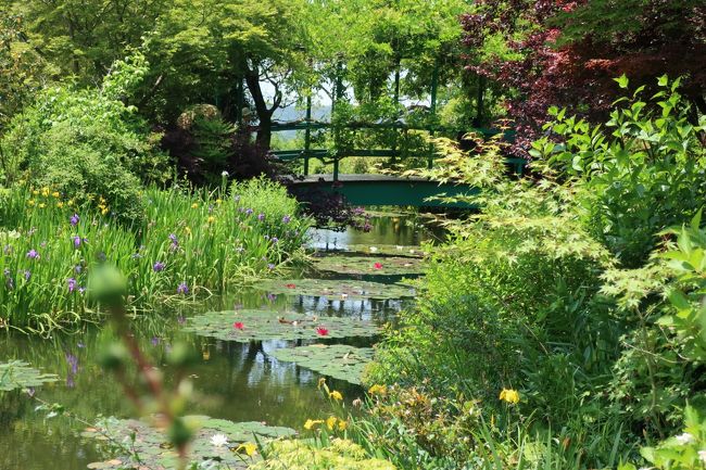 高知・北川村のモネの庭に睡蓮を見に行ってきました。睡蓮は午前中しか花を咲かせないため、かなり早起きしていってきました。行きは奈半利経由、帰りは室戸岬経由でした。