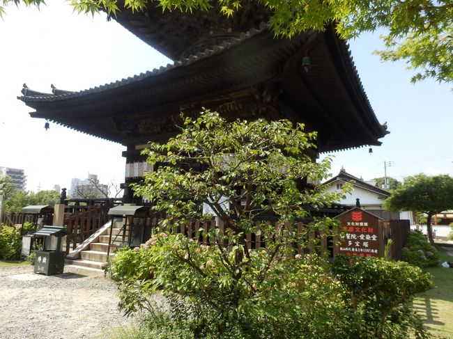 大阪市の谷j町筋と松屋町筋に挟まれた間に南北続く天王寺七坂がありその一つの愛染坂にある愛染堂勝鬘院(あいぜんどうしょうまんいん)と清水寺を参詣した、所要時間は0.5時間　　<br />　写真は、愛染堂勝鬘院多宝塔