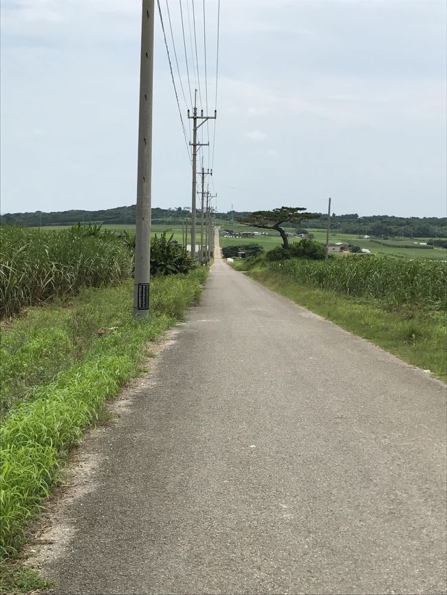 ２泊した石垣島ともいったんお別れ。<br />竹富島で２泊します。<br />その前に、どこかの島にでも行こうと思って調べてみると、友人にも勧められた小浜島がいいな～と思ったのと、これから竹富島に行く私には何ともやさしいルートだということに気づき、、、（選択理由は後ほど）<br />でもこの小浜島、何とも不思議な出会いが待っていました。