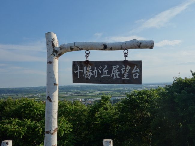 十勝川温泉に展望台があるとのことで見に行きました。十勝川を見下すすばらしい景色でした。