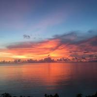 ANA&JAL特典で行く西表島♪美味しいもの食べて飲んでまったりの旅