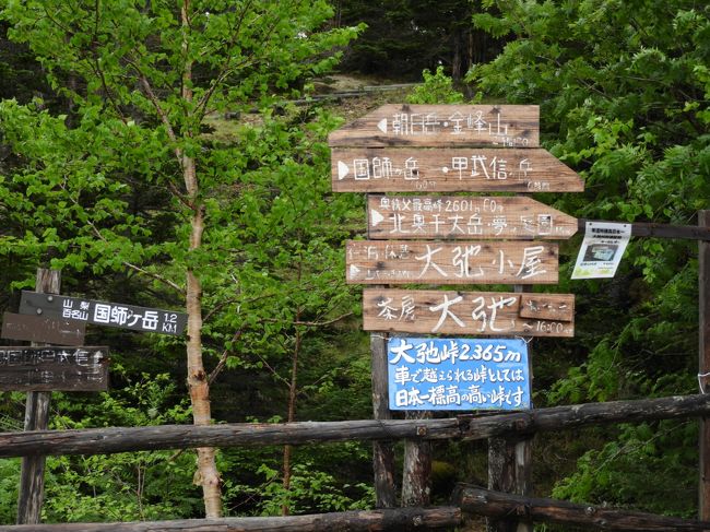 7月1日雨です。大弛峠に行ってみるか。秩父市経由で行こうと思う。まてよ、三峯神社の白い御守りの日だ。確かバスの運行時間が6時間とか新聞で読んだので時間をずらそうと、日光、金精峠越えて、道の駅川場田園プラザに寄って行こうと雨の中のドライブ。１７号を伊勢崎、児玉から三峰口。１４０号に入り雁坂トンネル越えて塩山市の道の駅まきおかで車中泊。４０８キロ走行。　2日、雨も上がりブドウ畑の間を登る。途中琴川ダムに寄る。さあこれから本格的な林道に入る。1キロ毎に案内があるので安心です。やがて建物が。公衆トイレです。駐車場は狭くいっぱいで路駐が多いです。でも長野県側の未舗装の所には止められます。下りはダートと頭に入れてスタート。これがトンでもない悪路で石ころ？いや。岩を砕いたようなのが延々と9キロも続き参ったのなんの。途中1台のSUVとすれ違う。お互いニヤッとして。結局45分もかかってしまった。乗用車では無理です。私の車は4駆なのですが下りでは発揮出来たのか良く分かりませんでした。川上村に下ってレタス畑の中を快適に走り、ぶどう峠を越えて上野村を通り140号に出る。花園から17号経由で帰宅。外気温は熊谷で３５℃を指していました。2日間で683キロ走行でした。峠をいくつも越え充実した週末でした。