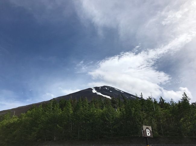 今夏主人を誘って富士登山を計画<br />練習登山として「はとバス【トレッキングツアー】富士講で栄えた 吉田口登山道トレッキング（馬返から富士山五合目へ）」に参加しました。<br /><br />０合目「北口本宮浅間神社」で参拝後、ハイヤーで馬返しまで行き、1合目から冨士スバルライン5合目までをトレッキング。山岳ガイドさんとはとバススタッフ(海外で山岳ガイドされていた方)が付いてくれて、安心して登ることができました。<br />トレッキングの後は「ふじやま温泉」で入浴。バスタオル、フェイスタオル付きで至れりつくせり^^昼食にお弁当も付いていて、1万円をきる値段設定は本当に大満足のツアーでした