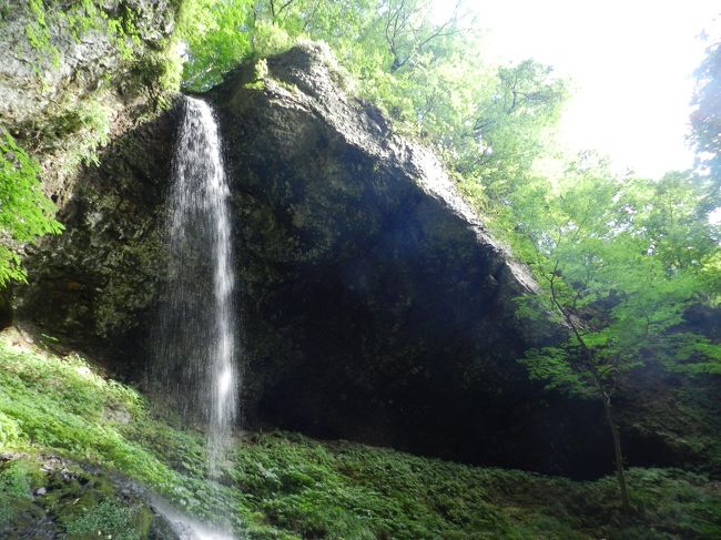 ふるさと納税でGETしたpeachのポイントをどこで使おうかと考えていたところ、夏休み期間に東北縦断旅行をしようということになりました。<br />日程は8/9～8/13の4泊5日で、往路は関空→仙台のpeachを予約し、途中の移動はレンタカー、レンタカーを青森で乗り捨てて北海道新幹線で函館へ、函館で1泊して函館→大阪（伊丹）をJALで予約しました。<br />この旅行では、宮城県・秋田県・岩手県・青森県・北海道の5道県を訪れました。<br /><br />八幡平から秋田県側に抜け、秋田県北端の町・藤里町を目指しました。<br />《その９》では藤里町にかかる２つの滝『銚子の滝』『峨瓏の滝（がろうのたき）』をご紹介しま～す。