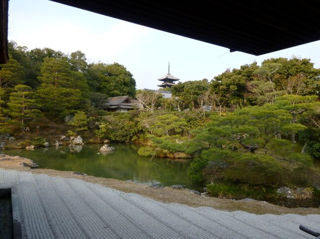 2011年　京都・奈良　おまけで大阪城　３日目