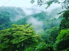 近鉄週末フリーパスを使って「吉野・湯の山温泉・名古屋満喫」