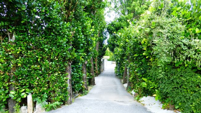 沖縄（本島・離島）には、もう何十回となく行ってはいるものの、暑いのが苦手な為、夏真っ盛りの時期に沖縄に行った回数は限られていました。<br /><br />そんな中、沖縄梅雨明け後に少し時間が出来た為、週間天気予報の天気が良い日を狙って、急遽沖縄本島に行く計画を立てました。<br /><br />特に今回は、沖縄の世界遺産の中で唯一行っていなかった、今帰仁城跡に行きたいと思っていた為、久し振りに北部宿泊も入れる事にしました。<br /><br /><br />今回の旅行の日程・行程は下記の通りです。<br /><br /><br />６月２８日（水）<br /><br />福岡　０７：１５－ＪＴＡ５１（特典航空券）－那覇　８：５０<br /><br />スカイレンタカー　２泊３日　免責補償料込み<br />７，０８０円－楽天レンタカークーポン（２，５００円）利用＝４，５８０円<br /><br />スカイレンタカー公式ＨＰ：http://www.skyrent.jp/okinawa/<br /><br />・古宇利大橋（古宇利ビーチ）・古宇利島（ティーヌ浜＆ハート岩）観光<br />・赤墓ビーチ散策<br />・今帰仁城跡観光<br />・今泊集落散策<br />・備瀬のワルミ観光<br />・備瀬のフクギ並木散策<br /><br />ペンション　サンセットビーチ　泊　洋室ダブル<br /><br />ペンション公式ＨＰ：http://sunset-okinawa.com/index.html<br /><br />５，５００円－楽天ポイント（８００円）利用＝４，７００円<br /><br /><br />６月２９日（木）<br /><br />・備瀬のワルミ再訪<br />・本部半島西部ドライブ<br />・道の駅 許田立ち寄り<br />・万国津梁館見学<br />・万座毛観光<br />・海中道路ドライブ<br />・浜比嘉島のアマミチューの墓観光<br />・イオンモール沖縄ライカム立ち寄り<br /><br />ＥＭウェルネスリゾートコスタビスタ沖縄ホテル＆スパ　泊　デラックスダブル<br /><br />ホテル公式ＨＰ：http://www.costavista.jp/<br /><br />楽天スーパーセール（朝食＆スパ付き）　<br />９，７２０円－楽天ホテルクーポン（１，５００円）利用＝８，２２０円<br /><br /><br />６月３０日（金）<br /><br />・南城市域地域物産館立ち寄り<br />・二ライ橋・カナイ橋展望台観光<br />・首里城公園（西のアザナ）観光<br /><br />レンタカー返車<br /><br />東横イン 那覇旭橋駅前　泊　シングルＡ ５，４３７円（会員料金）<br /><br />ホテル公式ＨＰ：http://www.toyoko-inn.com/hotel/00076/index.html<br /><br /><br />７月１日（土）<br /><br />那覇　１１：２５－ＡＮＡ１２０６（特典航空券）－福岡　１３：１０<br /><br />当初は、那覇１５：０５発便を予約していたのですが、暑い中での徒歩での観光は取りやめ、早い便に変更して帰福する事にしました。<br /><br />沖縄本島の日中の最高気温は、３２℃位だったのですが、体に刺すような日差しと暑さで、レンタカーを降りた後、少し散策をすると毎回汗だくになりました。<br /><br /><br /><br />１泊目宿泊地の今宿集落を散策した時の様子です。<br />