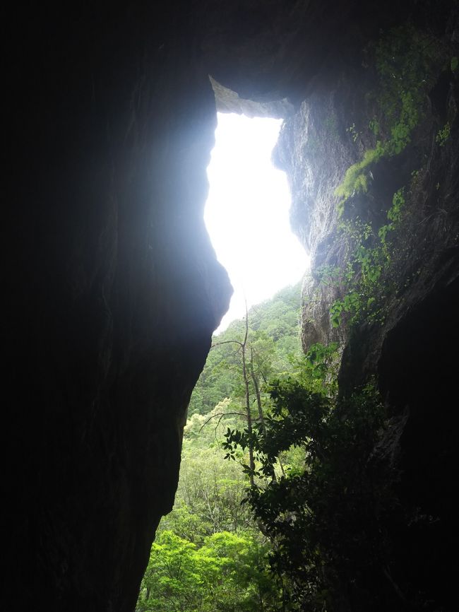 新城の秘境、乳岩峡に行ってきました。<br />車で山道を進むと無料駐車場があります。<br />トイレはここで済ませて下さい。この先にはありません。キレイではないですが我慢してください。背に腹はかえられません。<br />さらに水分補給もできませんのでここへ来るまでに水分も携帯しておいてください。この先足場は悪いので履きなれた靴で進まないと後悔します。<br />この先の道についてはアップしている写真を見てください。<br />透き通る水質の小川。1本逸れると樹海にはまる道のり。<br />看板だけを頼りに進むと巨大な岩、乳岩に着きます。<br />錆びつき、朽ち果てた超急な階段があり(落ちたら死にます)、恐怖との闘いです。(途中で携帯電話や財布を落としたら、迷わず放棄してください。取りに降りるのは不可能です。命と貴重品、どっちが大事か考えて行動してください)<br />先に進めば、それに見合う景色が出迎えてくれます。<br />私が行った時は人っ子一人いませんでした。おまけに携帯電話の電波は圏外。このような場所ですので一人で行って、何か遭遇した時は死しかないので二人以上で行くことをおススメします。