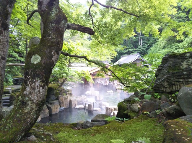 今回は長期療養中の友人の御見舞いを兼ねて名古屋から新緑を迎えた信州の諏訪湖、白樺湖、軽井沢、上州の碓氷峠、水上温泉、川原湯の往復1200キロを走破してきました。<br /><br />写真は上州の水上温泉に在る宝川温泉<br />