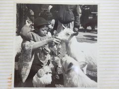 1956年（昭和31年)10月 初めての上野動物園(その後､何回も上野動物園 美術館 博物館 東京文化会館等を訪れます｡)
