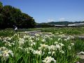 掛川の旅行記