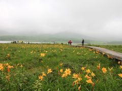 雄国沼湿原ニッコウキスゲ2017