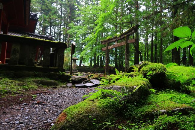 梅雨の晴れ間、とまでは行かないけど、わりと良い天気で関東平野は真夏日の日。<br />緑がきれいな季節だし、イキイキした緑や苔を見に行こう♪<br />…と思い立ち、裏日光と呼ばれているらしい、滝尾神社に行ってきました。<br />の～んびり滝尾道を歩いたので、参道の写真が多めになっていますが、滝尾道を旅する気持ちでお付き合いいただけたら、嬉しいです。<br /><br />※2017.7.15<br />タイトルを「裏日光」から「元日光」に変更しました。<br />ご指摘を受け、本来の意味を考えると「元日光」の方が滝尾を表すのに相応しい言葉だと感じた為です。<br />墨水さん、ご指摘ありがとうございました。