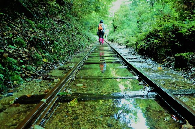 今回は、4トラベル的47都道県制覇の旅に<br />15県もお付き合いいただいている<br />会社の先輩、Ｎさんとの屋久島旅。<br /><br />どちらともなく言いだした<br />屋久島行っときますか？が実現したのは、<br />きっと縄文杉に呼ばれていたから。<br /><br />山ガールを名乗るのも恥ずかしい<br />へなちょこ登山者の旅行記ですが、<br />宜しかったらご覧ください。<br /><br />〇旅の予定はこちら<br />■6/30 <br />・東京→名古屋　名古屋泊<br />■7/01　<br />・名古屋→新大阪→伊丹空港<br />　伊丹空港→鹿児島空港→屋久島空港<br />■7/02　<br />・11時間：縄文杉コース　屋久島泊<br />□7/03　<br />・3時間：白谷雲水峡コース<br />・屋久島空港→鹿児島空港→伊丹空港<br />　→新千歳空港<br /><br />〇写真は屋久島の縄文杉コース、<br />　長い長いトロッコ道にて。