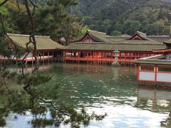 厳島神社とカープの旅　in広島