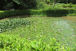 2017初夏、日本百名城の山中城(1/6)：三の丸跡、掘割跡、箱根旧街道の石畳、田尻の池