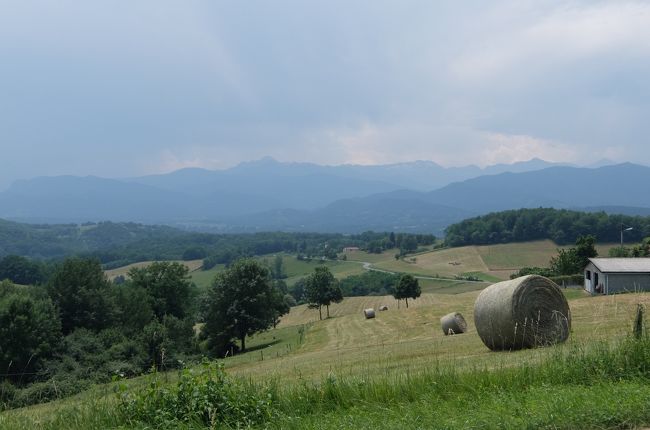 【旅の行程】　　＊印はレンタカーで移動<br /><br /> 6/19  トゥルーズ着（泊）<br />*6/20  トゥルーズ →　サン・リズエ　→　サン・ベルトラン・ド・コマンジュ（泊）<br />*6/21  サン・ベルトラン・ド・コマンジュ →　ポー（泊）<br />*6/22  ポー　→　オロロンサントマリー　→　ナヴァランクス　→　ソヴテール・ド・ベアム　→　オスタバ　→　サン・ジャン・ピエ・ド・ポー　(泊）<br />*6/23  サン・ジャン・ピエ・ド・ポー　→　ロンスヴォー　→　バンプローナ（泊）<br />*6/24  パンプローナ →　プエンテ・ラ・レイナ　→　バビエル（ザビエル）　→　パラドール（ソス・デル・レイ・カトリコ）　泊<br />*6/25  パラドール　→　サングエサ　→　レイレ修道院　→　アイノア　（泊）<br />*6/26  アイノア　→　イッチャスー　→　エスペレット　→　バイヨンヌ（泊）<br /> 6/27  バイヨンヌ　→　パリ  (泊）<br /> 6/28  パリ　→　カーン　（泊）<br /> 6/29  カーン　→　バイユー　　→　パリ（泊）<br /> 6/30  パリ<br /> 7/1   パリ   <br /> 7/2   パリ　→　CDG →　KIX (+１)　<br /><br />～～～～～<br /><br />関空からシャルル・ド・ゴール空港経由ツゥルーズ着。<br />空港近くのホテルに泊まり、翌日空港からレンタカーをし<br />まずは、フランスの美しい村をめざしてスタート