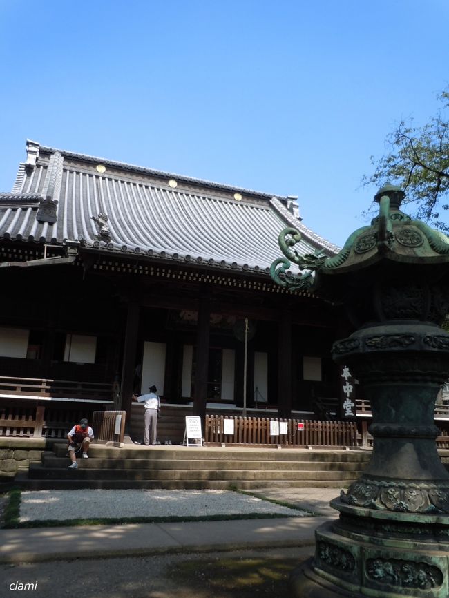 寛永寺と東照宮。<br /><br />上野で徳川ゆかりの場所に行ってみました。