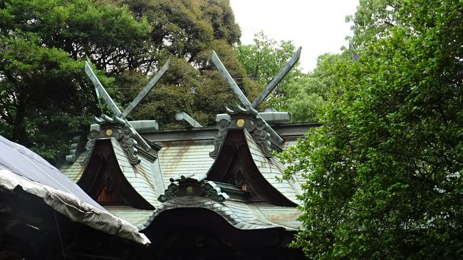 五月山動物園の途中から、隣にある池田市で一番歴史のある伊居太神社(いけだじんじゃ)へ参拝しました。<br /><br />写真は、本殿の屋根。