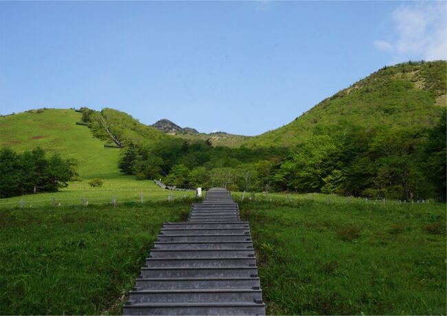 またまた日光へ。前半 霧降高原プチ山歩き