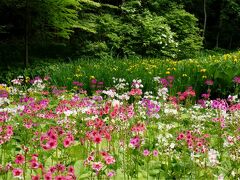 またまた日光へ 後半 山奥にすばらしい植物園！上三依水生植物園でこんなに見られたー！！