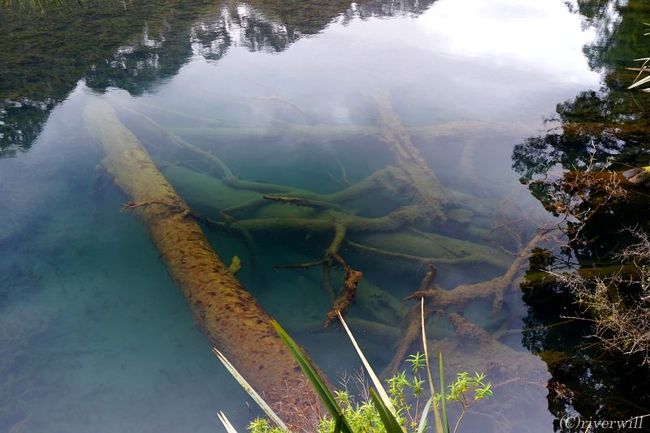 ニュージーランド南島の世界遺産フィヨルドランド国立公園の中でも<br />最大級のフィヨルドを持つ「ミルフォード・サウンド」。<br /><br />拠点となる「テ・アナウ」からハイウェイ約100㎞の道中には、<br />「明鏡止水」の四文字熟語がそのまま当てはまるような、<br />それはそれは美しい湖「ミラーレイク」があるんです。今回はそちらをご紹介します。<br /><br />▼詳細はこちらの旅行記も併せてご覧ください。（写真と情報豊富）<br />http://tabinomori.com/media/compathy-magazine/com20170628mirrorlake/