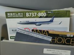 久々のANA機で飛ぶ目的地は、久々の岩国。の旅　～帰京便は奮発してPREMIUM　CLASSで?! NH 638便/地上編～ 