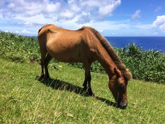 夏のどなんちま＝与那国島に行って来ました♪　＝その弐＝