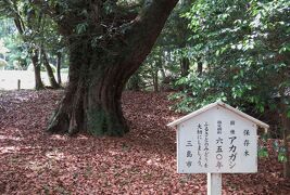 2017初夏、日本百名城の山中城(5/6)：山中城址、本丸、兵糧庫、赤樫の大樹、駒形諏訪神社