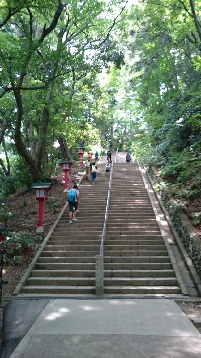【東京を歩こう！】高尾山登山は思いの外キツかった