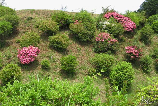 2017初夏、日本百名城の山中城(3/6)：土橋、富士山、紫陽花、西櫓、西櫓の掛橋、障子堀