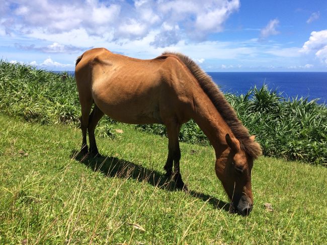 梅雨明けの沖縄本島を皮切りに、いよいよやえやまじろうの活動が活発になって参りました♪<br />今年はどなんちま＝与那国島に行き先を決定！ということですが．．．。なんと出発２日前に急遽与那国島行きを決定したやえやまじろうでした（汗）<br />もともと石垣島と波照間島と竹富島と．．．いつもの行動パターンで旅行を計画していたのですが．．．。突然、しぃさんの与那国島旅行記を思い出して．．．六畳ビーチの写真が余りにもキレイだったので、仕事中に残り２席だった石垣→与那国のフライトを予約してしまいました（汗）<br />この決断が正しかったのか？日本最西端の地＝与那国島が、やえやまじろうに大きな感動を与えてくれました☆<br />頭の先からつま先まで与那国島の自然の美しさに魅了されました♪<br />そして．．．きっかけを作ってくれたしぃさんに心からお礼を申し上げます♪