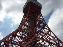 東京、横浜JALびっくりオプションで東京タワー、アクア品川水族館