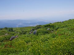 新緑が眩しい久しぶりの伊吹山散策　2017