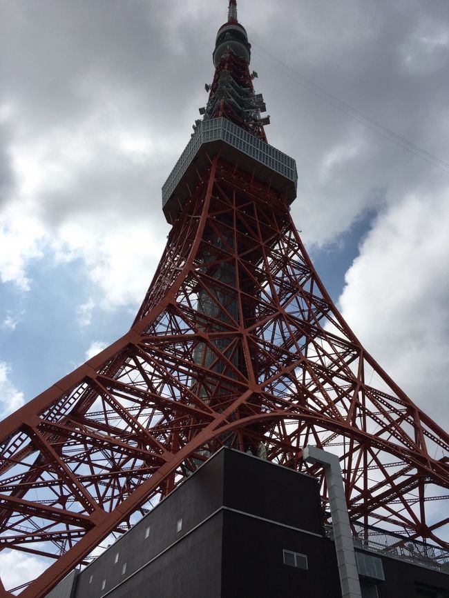 いつものイベント参加ですが、今回JALパックでびっくりオプションお安く体験出来ました。東京タワー100円(タワーの栞付き)、アクア品川水族館500円でした。いい経験出来ました。