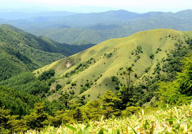 治部坂高原スキー場に車をとめて大川入山までの往復ルート。山頂までの標高差は約７２０ｍ、多少の上り下りがあり累積で１０００ｍ弱程度。山頂付近は気持ちの良い笹原。山頂からの北アルプス～中央アルプス～南アルプスの展望を期待したが、今回は展望に恵まれず。信州百名山のひとつ。「低山を歩く会」候補<br /><br />１．コースタイム<br />　・０８：２５　大川入山登山口（治部坂高原スキー場駐車場）<br />　・０９：２５～０９：３０　横岳（１５７４ｍ）<br />　・１０：１５　頂上まであと２キロの標識<br />　・１０：４５～１０：５０　頂上まであと１キロの標識<br />　・１１：２０～１２：００　大川入山（１９０８ｍ）<br />　・１３：３０～１３：３５　横岳<br />　・１４：３０　大川入山登山口<br />２．登山道の様子<br />登山道は整備されているが、登り始めてしばらくすると木の根の露出した道を登る。登り口の看板によると、山頂まで約６キロ、およそ４時間の表示。横岳までに３箇所の崩落箇所があり、登山道は小さく迂回している。横岳からは小さな上り下りを繰り返して山頂手前の最鞍部に至る。<br /><br />