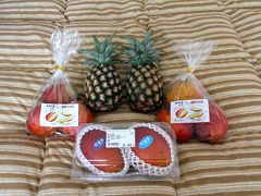 やえやまじろう石垣島でマンゴー&パイナップルに魅了される♪