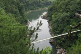 2017梅雨、長野の渓流(3/5)：天竜峡(1)：塩尻ワイン、ツバメ、橋の上から眺めた天竜峡