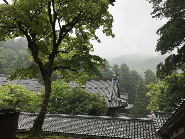 三人で福井出帳の帰り旅、美しい静寂をたっぷりと身に染みてまいりました。お昼は永平寺の最初の蕎麦屋で、手打ちのおろし蕎麦を頂きました。ベリーナイス!<br />