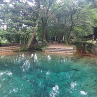 ２泊３日　お天気を気にしながらの山口・福岡旅行　［１］　秋芳洞、秋吉台