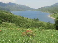 白駒池・チャツボミゴケ・野反湖・草津温泉ツアー